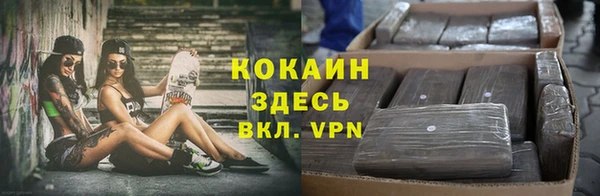 амф Алексин
