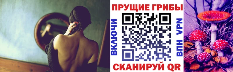 где купить наркотик  Игарка  Псилоцибиновые грибы мухоморы 